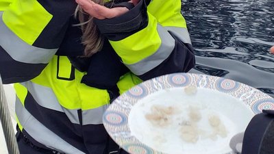 Person in yellow jacket holding a plate of food, standing in front of a body of water.