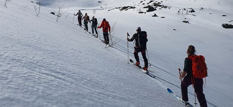 Group of people with skis and backpacks ascending a snow-covered mountain.