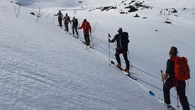 Group of people with skis and backpacks ascending a snow-covered mountain.