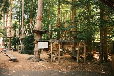 Kletterpark im Wald mit Seilbrücken, Holzplattformen und Sicherungsseilen zwischen Bäumen.