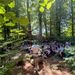 Community Event im Seilpark Interlaken: Ein Tag mit Change Moments