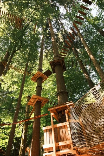 Hochseilgarten mit Holzplattformen und Hängebrücken zwischen Bäumen im Wald, Kletterausrüstung sichtbar.