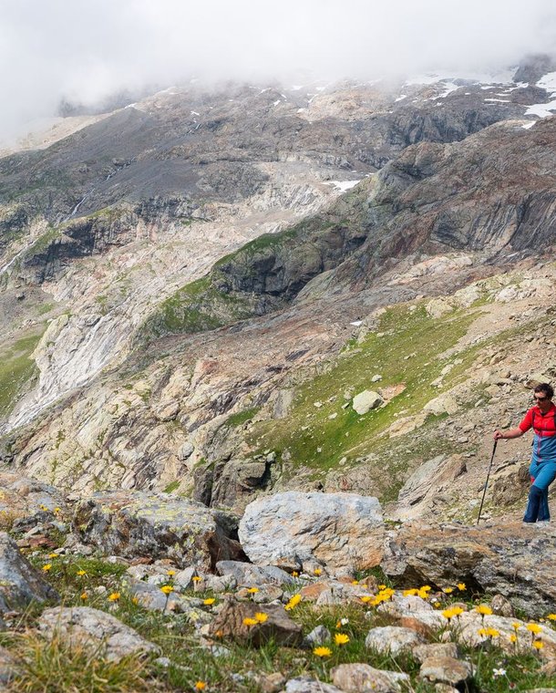 Group of hikers following a blue-white marked hiking path