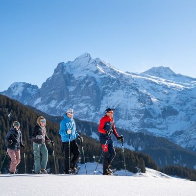 Personen mit Schneeschuhen und Stöcken wandern in einer verschneiten Berglandschaft.