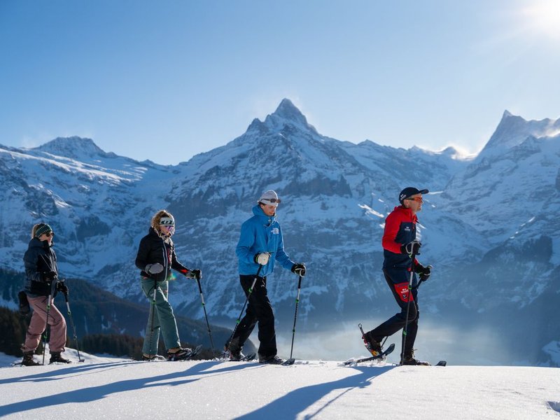 Four people with skis and poles are walking in snowy mountains, wearing winter clothing and helmets.