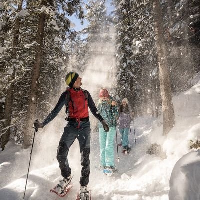 Schneeschuhführer wandert durch den Wald, mit unglaublichem Licht und Schnee, der von den Bäumen fällt.