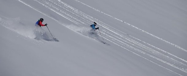 Personen am Tiefschneefahren