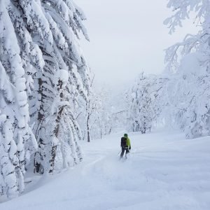 Freeride-Switzerland-Snow-Winter-Bern