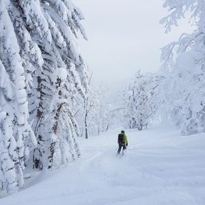 Freeride-Switzerland-Snow-Winter-Bern