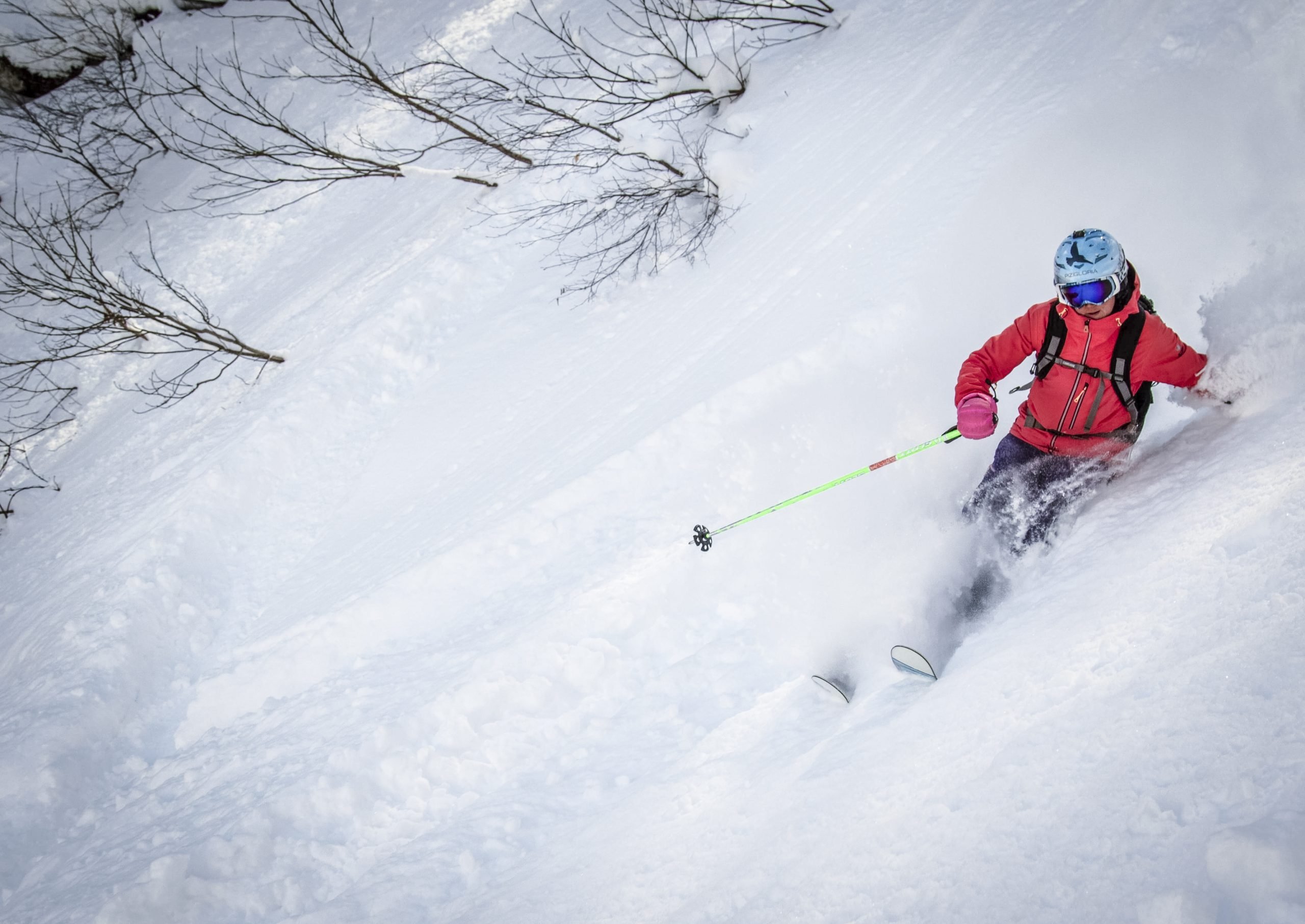 Freeriding – White Gold