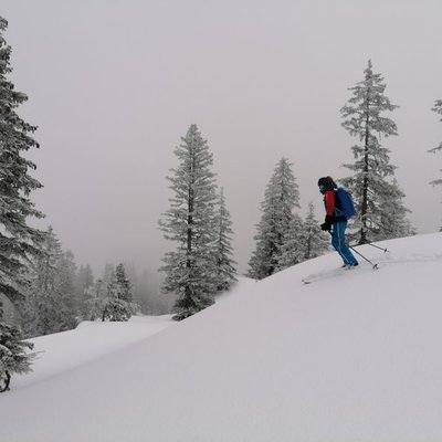 Skitourengänger Abfahrt in verschneitem Wald