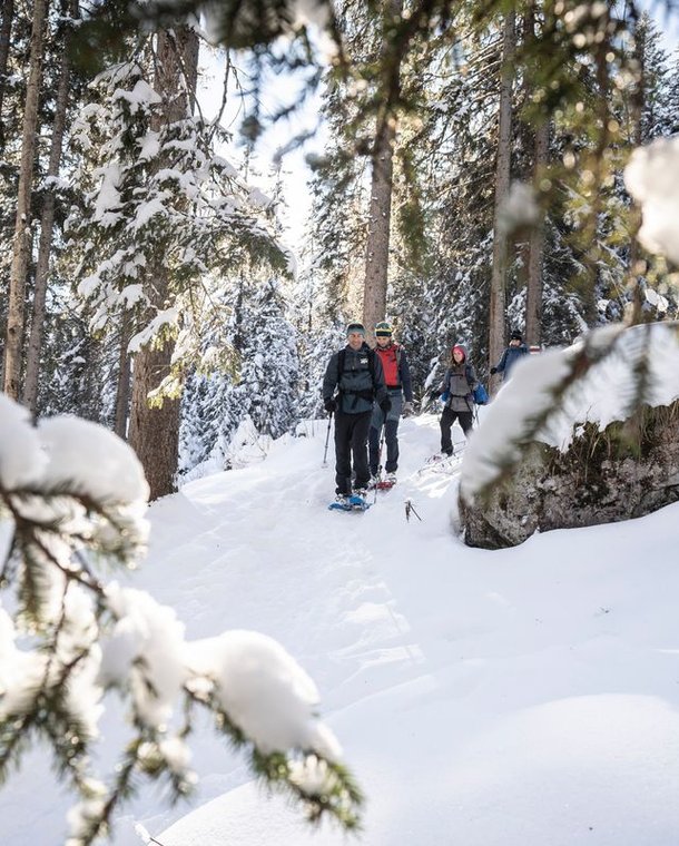 Group of snowshoe hikers in the forest