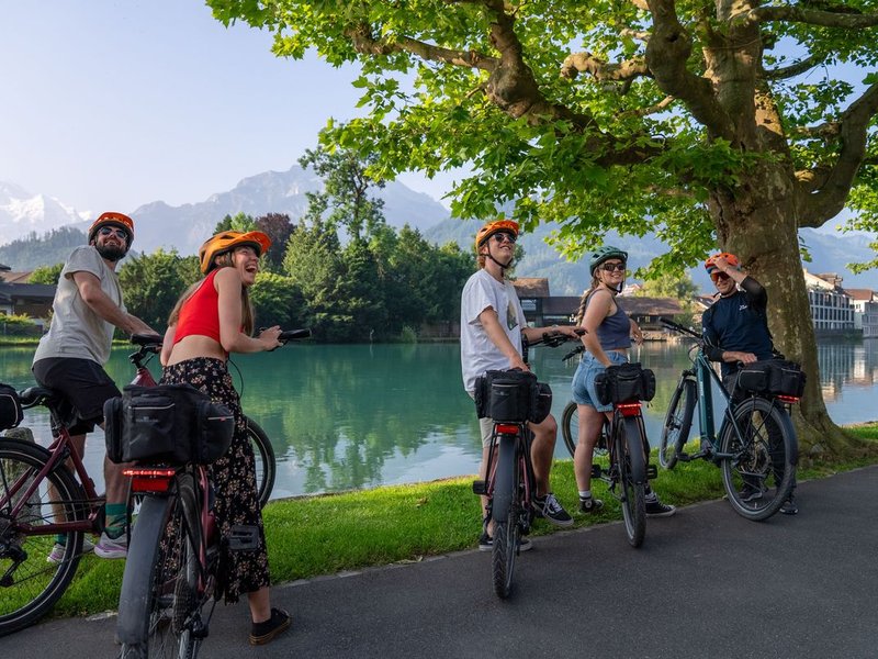 Five people on bicycles with helmets near a lake and mountains, under a large tree.