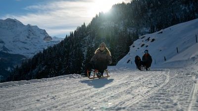 Menschen rodeln auf einem verschneiten Bergpfad, tragen Winterkleidung und Sonnenbrillen, mit Bäumen und Gipfeln.