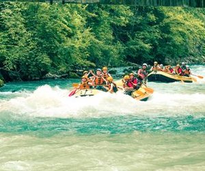 Groups rafting on a river, wearing helmets and life jackets, surrounded by lush green trees.