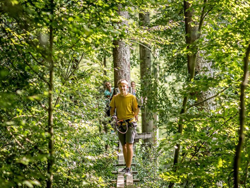 Person walks on a narrow wooden bridge in the Interlaken Rope Park through the green treetops