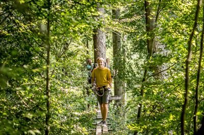 Person walks on a narrow wooden bridge in the Interlaken Rope Park through the green treetops