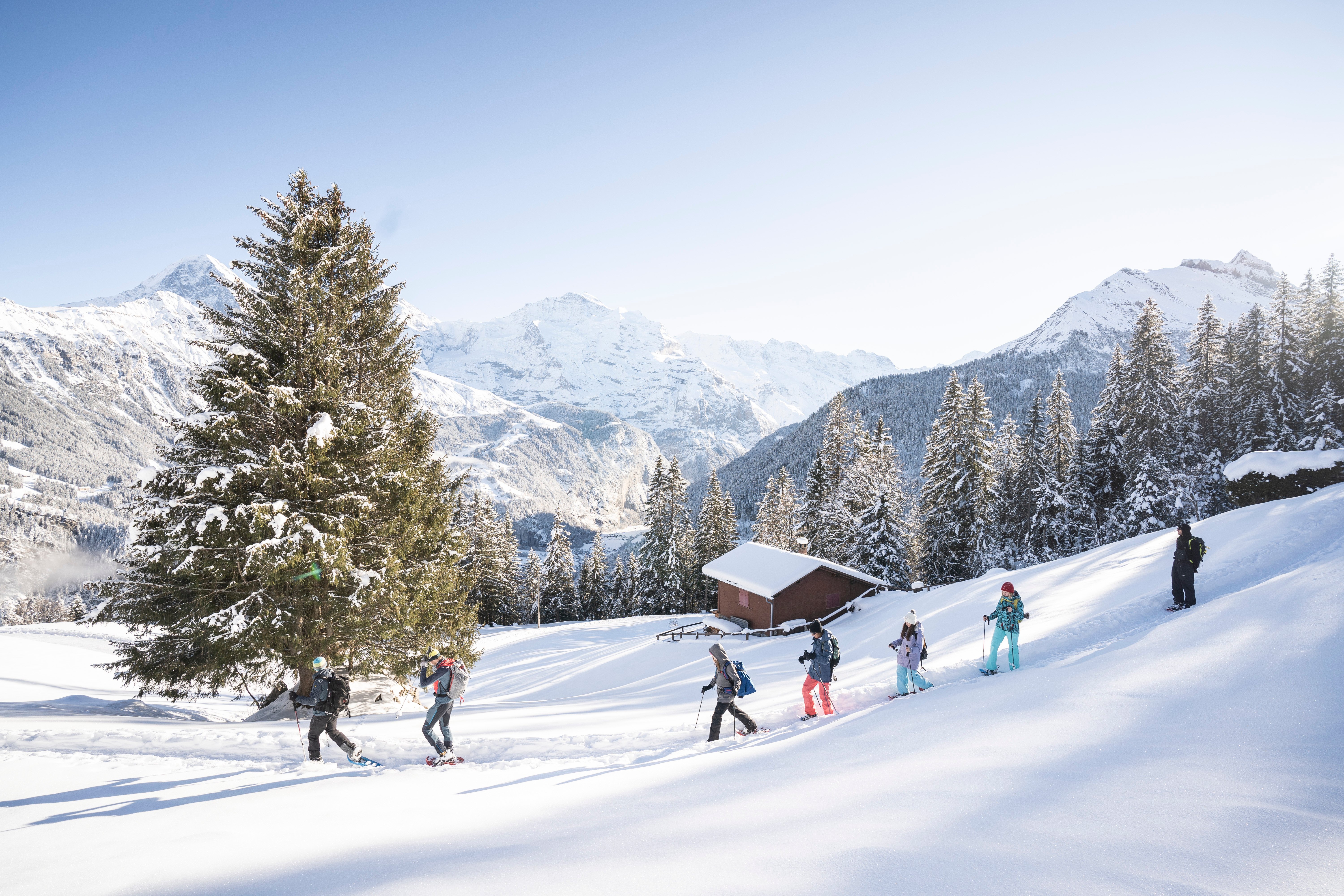 Group of people with skis and poles hiking through snowy mountain landscape in sunshine.